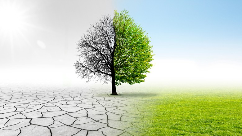 Training on Monitoring and Evaluation for Climate Change Adaptation Programs 3.jpg